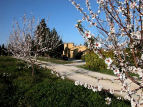 Agriturismo Le magnolie Loreto Aprutino